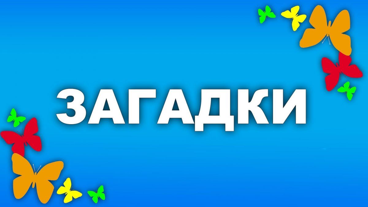 "Про Загадки" - Студия Аниматорского Мастерства "САМ"