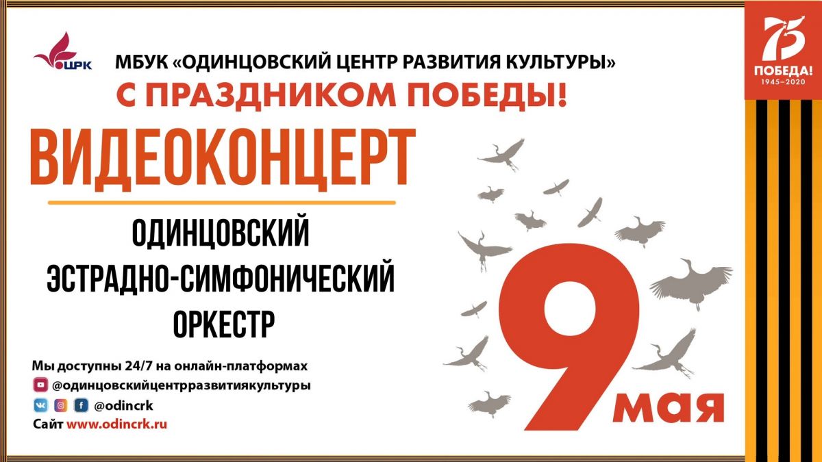 Видеоконцерт. Одинцовский эстрадно-симфонический оркестр и Дмитрий Певцов.