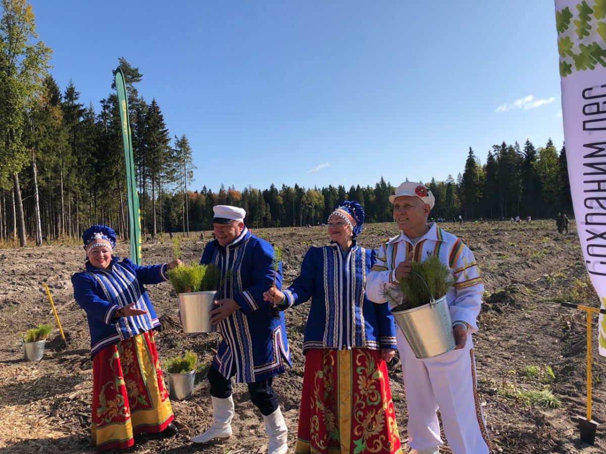 Эко-акция «Наш лес» в деревне Хлюпино